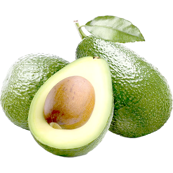 AVOCADO