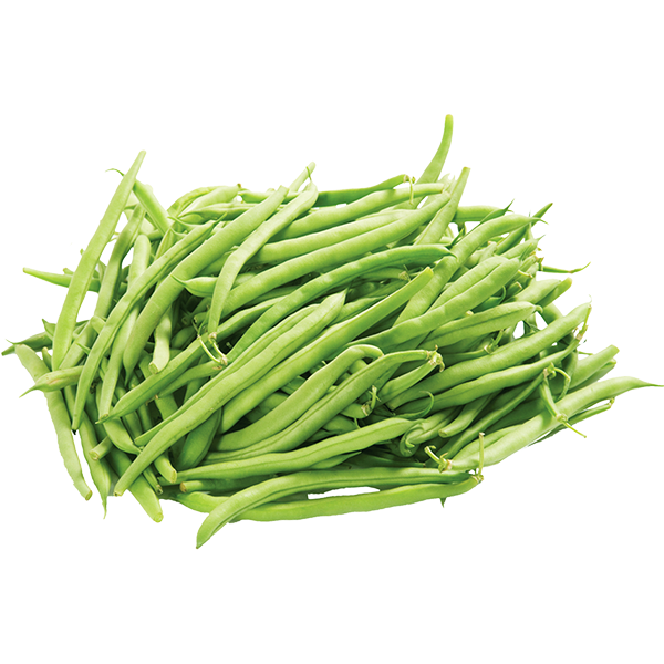 SHORT BEANS