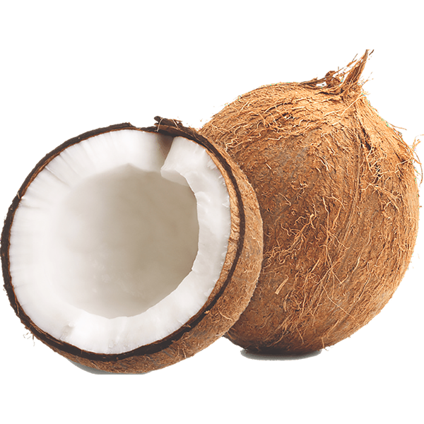 COCONUT