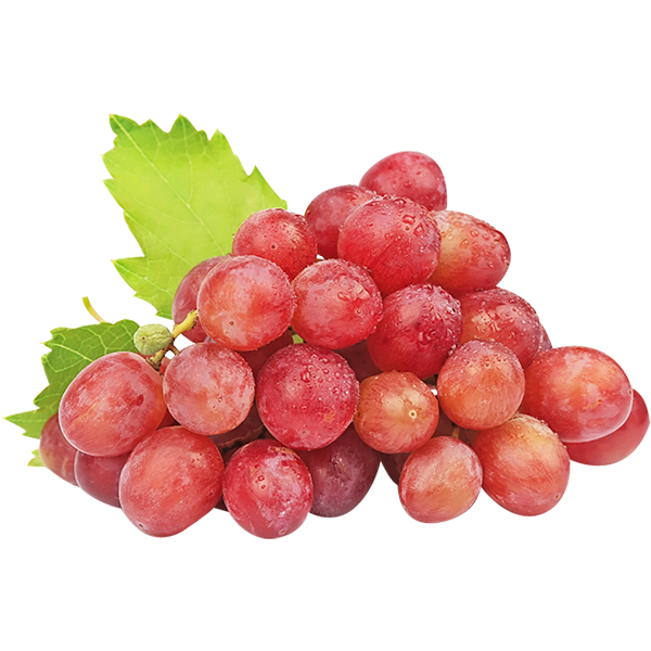 RED GRAPES SEEDLESS