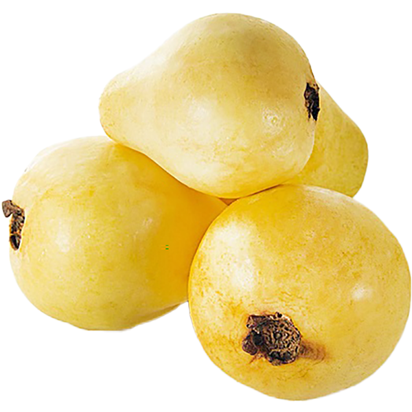 GUAVA FRUIT