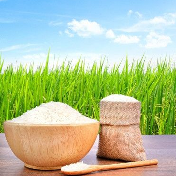 RICE